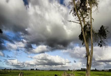 天涯论坛十大神贴盘点