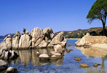 天涯论坛刷屏的十大神贴,这些年都让我热血沸腾!